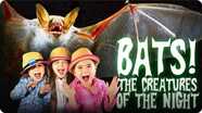 Bats for Kids | All About Bats | Bats: The Creatures of The Night