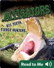 Alligators. Big Teeth. Fierce Hunters!