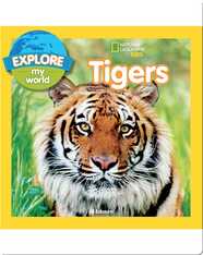 Explore My World Tigers