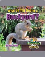 What Do You Find in a Backyard?