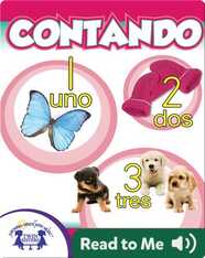 Contando