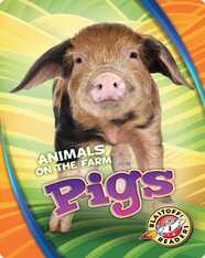 Animals on the Farm: Pigs