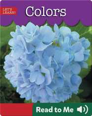 Colors