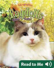 Ragdolls: Alien Cats