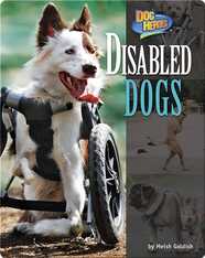 Disabled Dogs