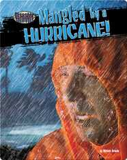Mangled by a Hurricane!