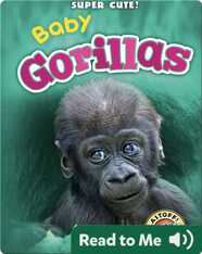 Super Cute! Baby Gorillas
