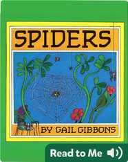Spiders