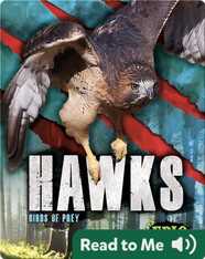 Hawks