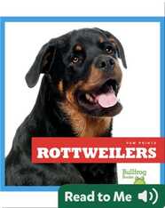 Rottweilers
