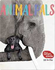 Safari Circle: Animal Pals