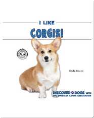 I Like Corgis!