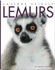 Amazing Animals: Lemurs