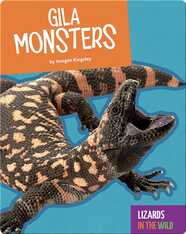 Lizards in the Wild: Gila Monsters