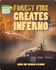 Forest Fire Creates Inferno
