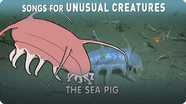 Songs for Unusual Creatures: The Sea Pig