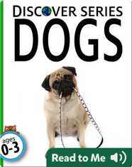 Dogs