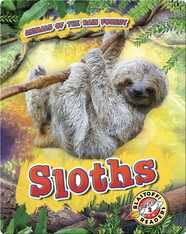 Animals of the Rain Forest: Sloths