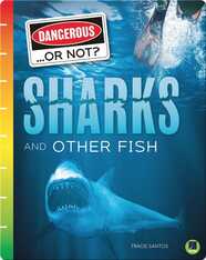 Dangerous...or Not?: Sharks and Other Fish