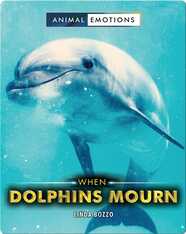 Animal Emotions: When Dolphins Mourn