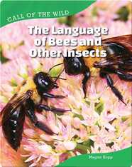 The Language of Bees and Other Insects