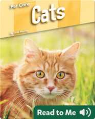 Pet Care: Cats