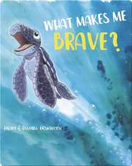 What Makes Me Brave?