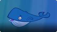 I'm a Blue Whale