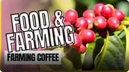 Food and Farming: Farming Coffee
