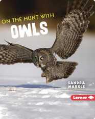 Ultimate Predators: On the Hunt with Owls