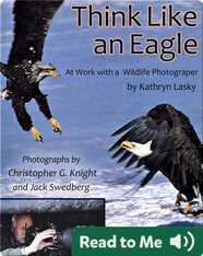 Think Like An Eagle: At Work With A Wildlife Photographer