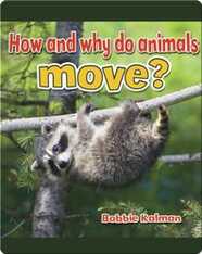 How and Why do Animals Move?