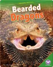 Amazing Reptiles: Bearded Dragons