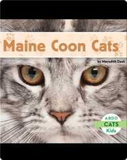 Maine Coon Cats