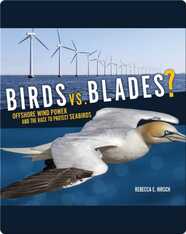 Birds vs. Blades?: Offshore Wind Power and the Race to Protect Seabirds