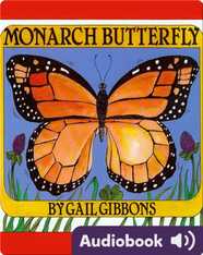 Monarch Butterfly