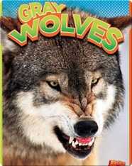Gray Wolves