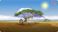 Circle of Life Song