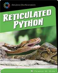 Reticulated Python
