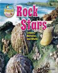 Rock Stars: Limpets, Barnacles, and Whelks