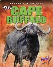 The Cape Buffalo
