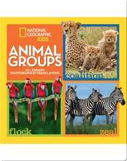 Animal Groups