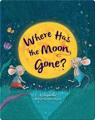 Where Has the Moon Gone?