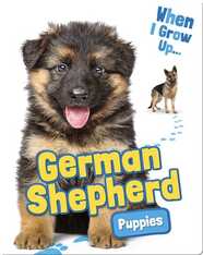 German Shepherd Puppies