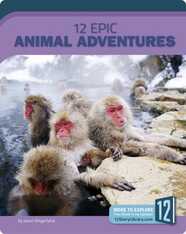 12 Epic Animal Adventures