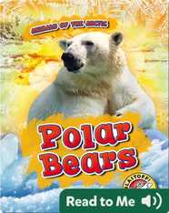 Polar Bears