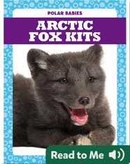 Polar Babies: Arctic Fox Kits