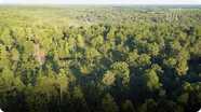 Protecting Forests and Enhancing lives