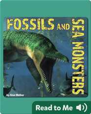 Fossils and Sea Monsters