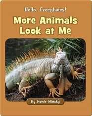 Hello, Everglades!: More Animals Look at Me